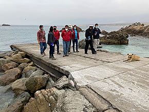 En 2021 estarán listas las obras de conservación del muelle de pescadores de Mejillones