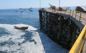 MOP realizará conservación en muelle de pescadores de Tocopilla