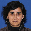 Viviana Fuentes Orellana (Subrogante)